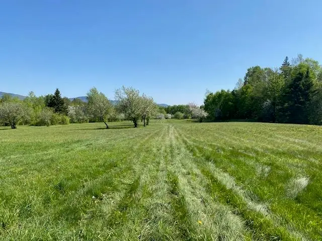 Off Reed Road, Colebrook, NH 03576 - #1