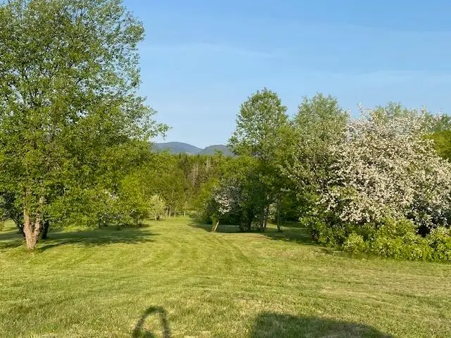 Off Reed Road, Colebrook, NH 03576 - #3