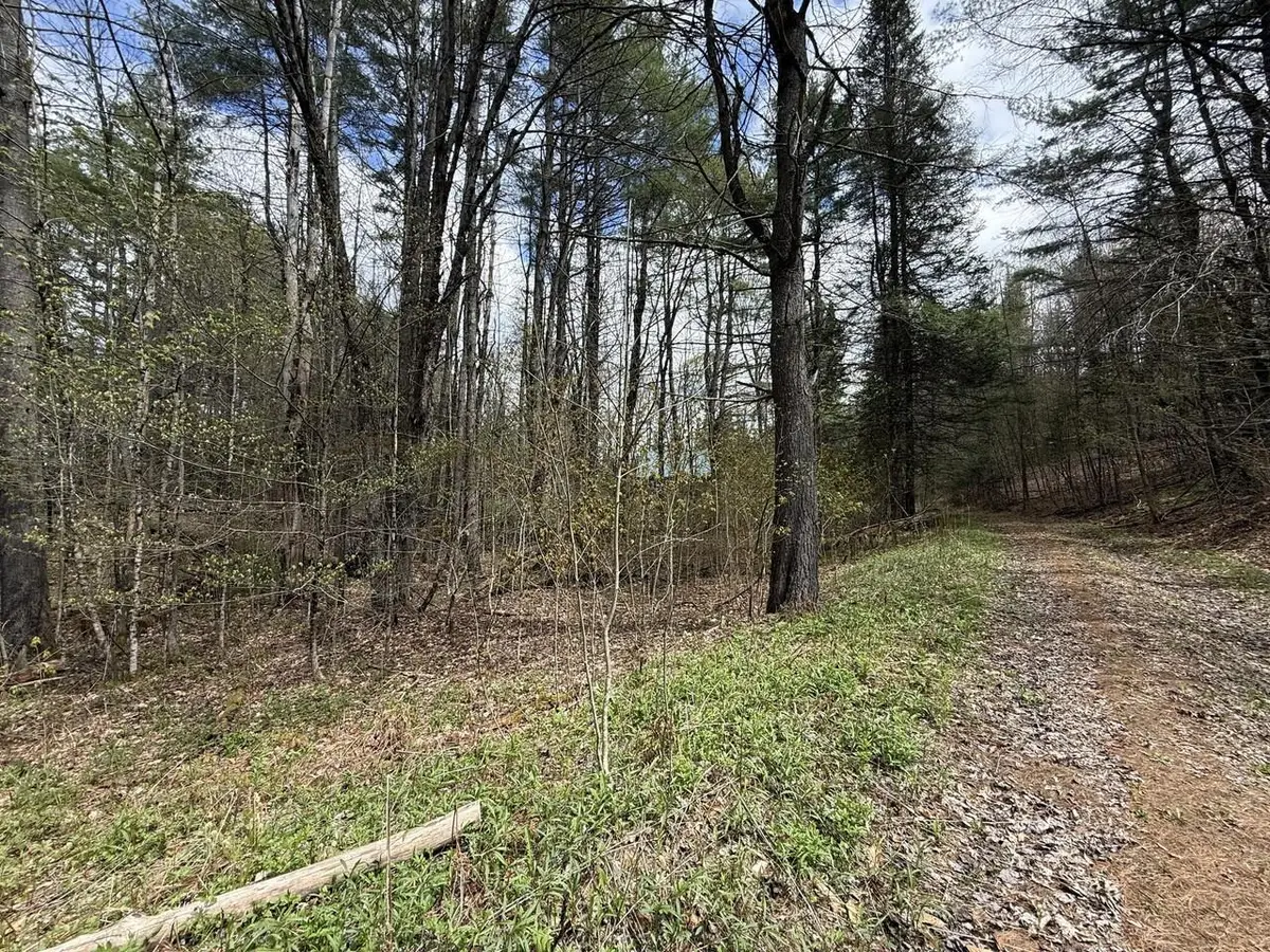 169 Jenkins Brook Road, Chelsea, VT 05038 - #1