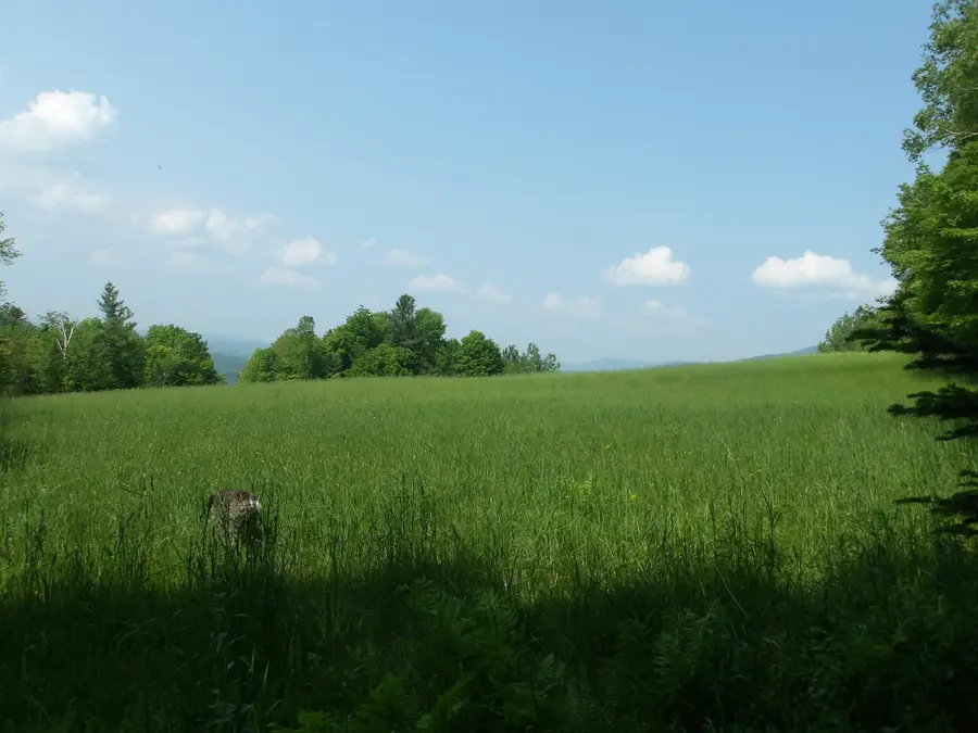 4 & 5 Forest Lane, Lyndon, VT 05851 - #2