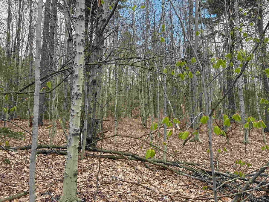 0 East Hill Road, Andover, VT 05143 - #2