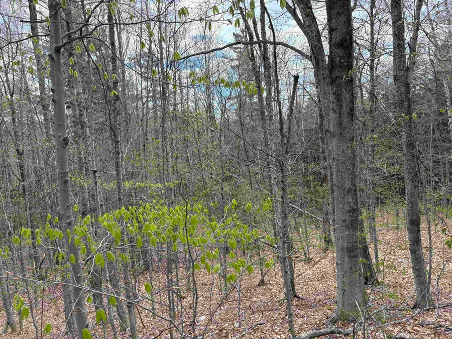 0 East Hill Road, Andover, VT 05143 - #3