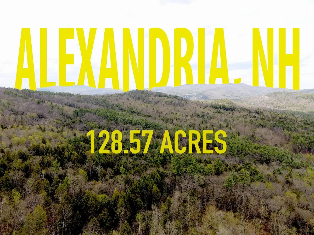 TM 413 L 99 King Road, Alexandria, NH 03222 - #1
