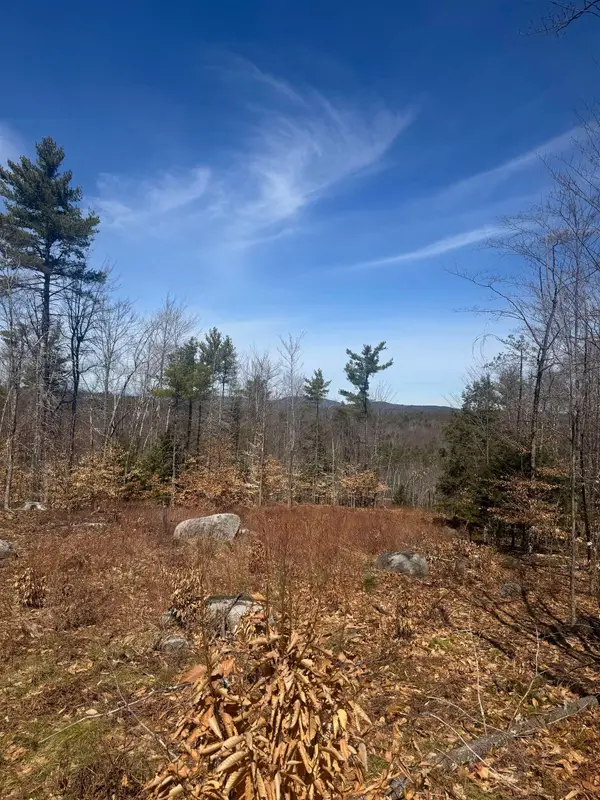 8 Wakefield North Road, Wolfeboro, NH 03894