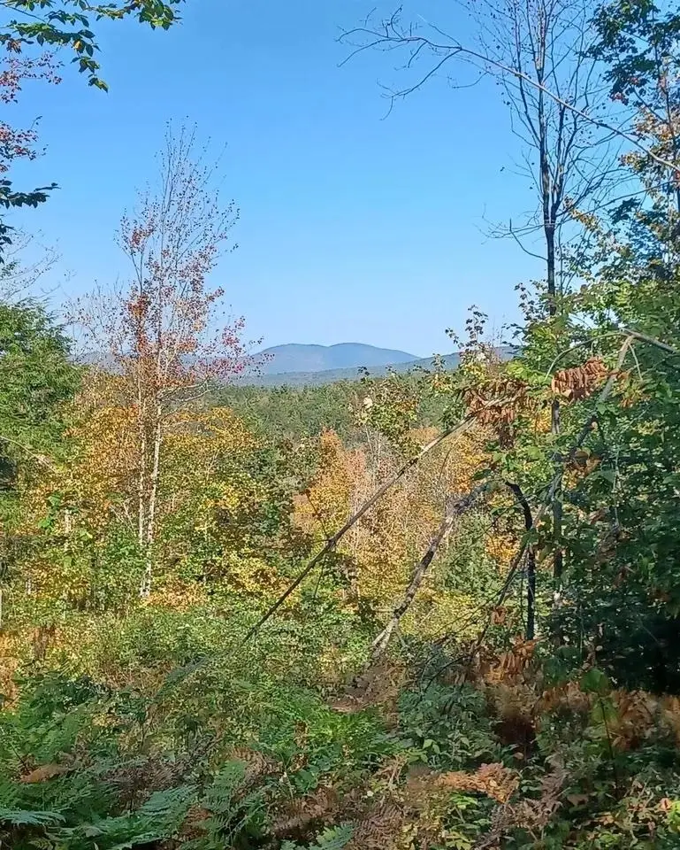 8 Wakefield North Road, Wolfeboro, NH 03894 - #3