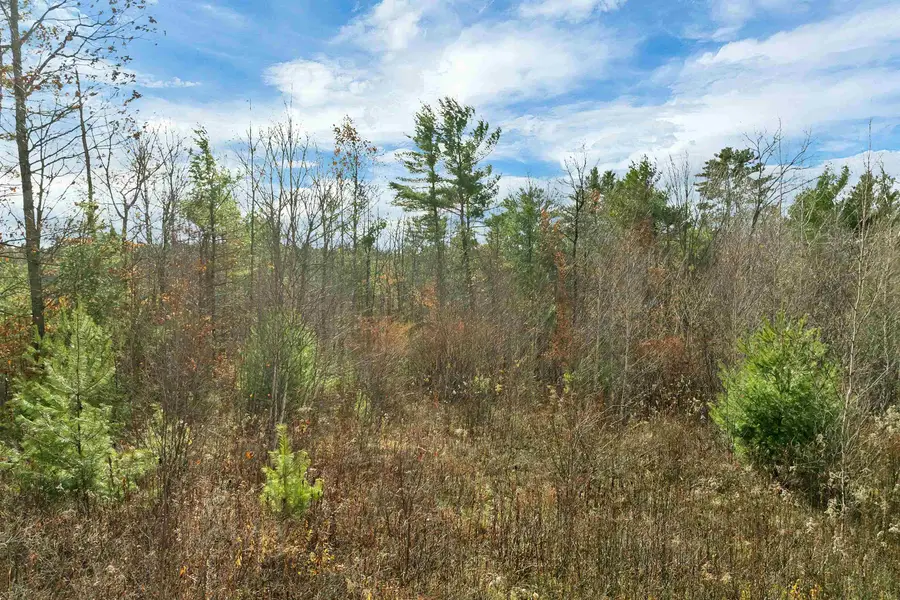 7 Lady Slipper Lane, Moultonborough, NH 03254 - #3