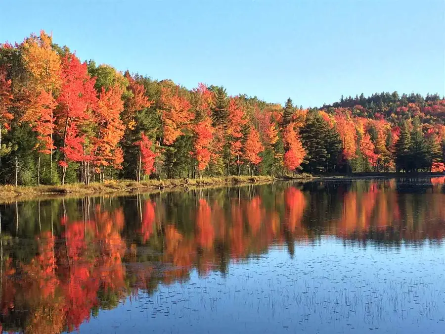 Lot X Tyanoga Road, Whitingham, VT 05361 - #3