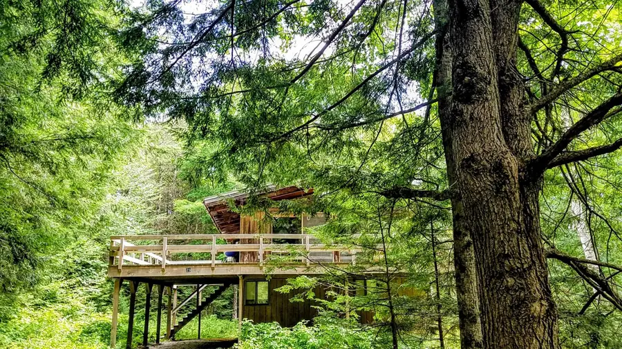 23 Cornell Way, Wilmington, VT 05363 - #3