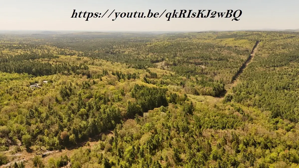 Russell Hill Road #35, Wilton, NH 03086 - #1