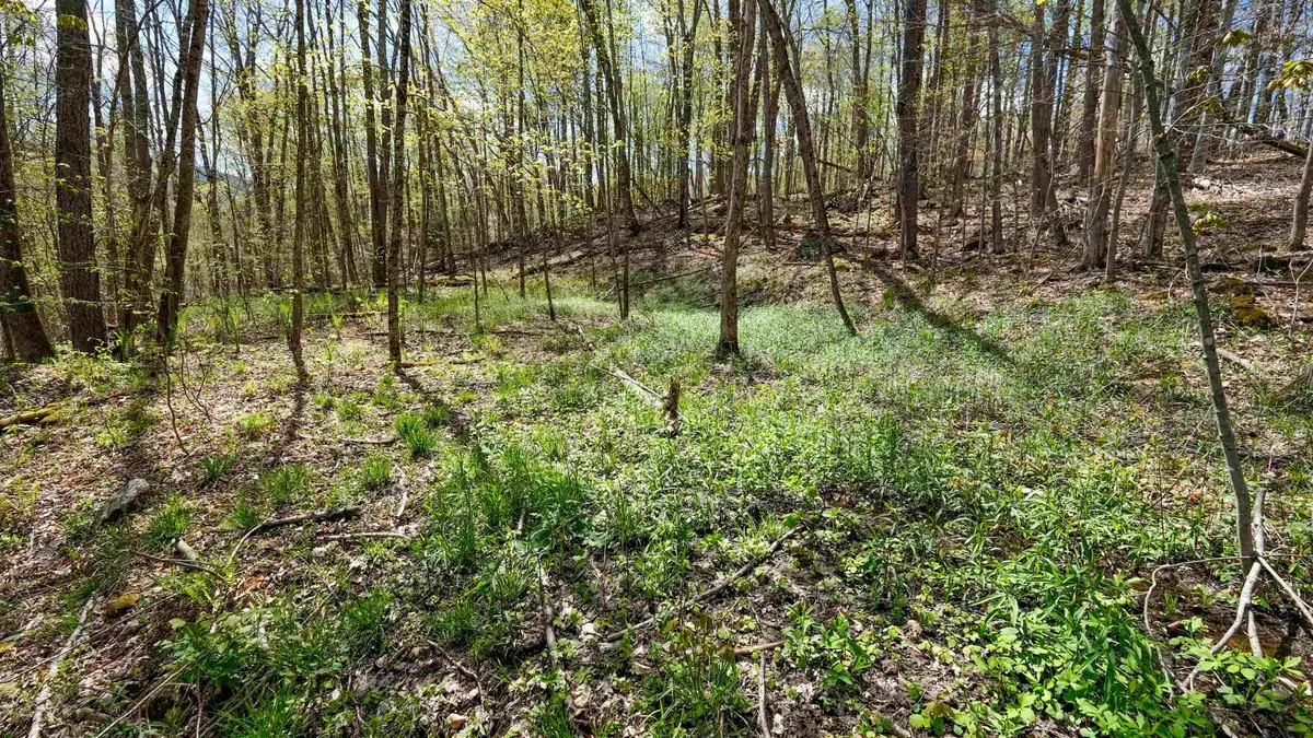269 Hawkins Road, Wallingford, VT 05773 - #1