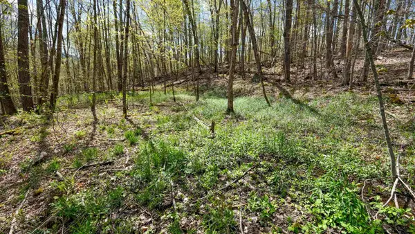 269 Hawkins Road, Wallingford, VT 05773