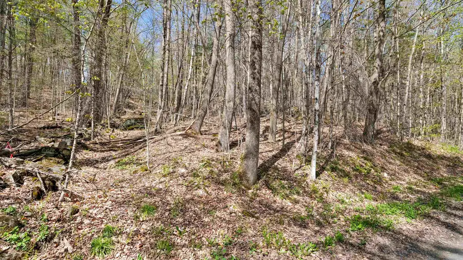 269 Hawkins Road, Wallingford, VT 05773 - #2