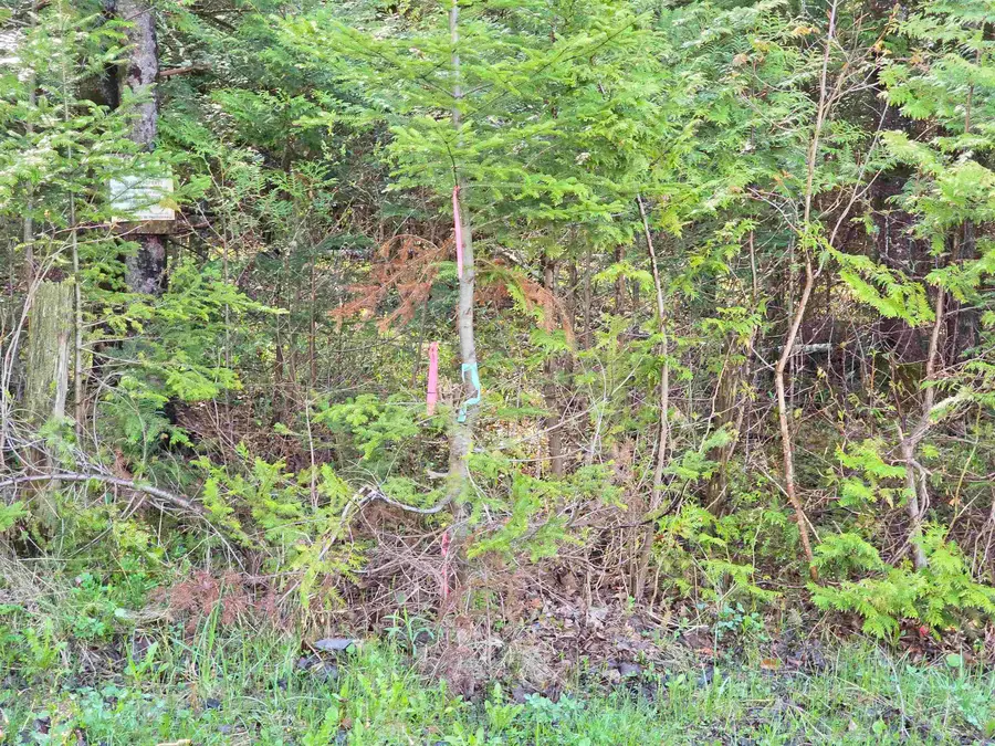 000 Old Coach Road #5, Lyndon, VT 05851 - #3