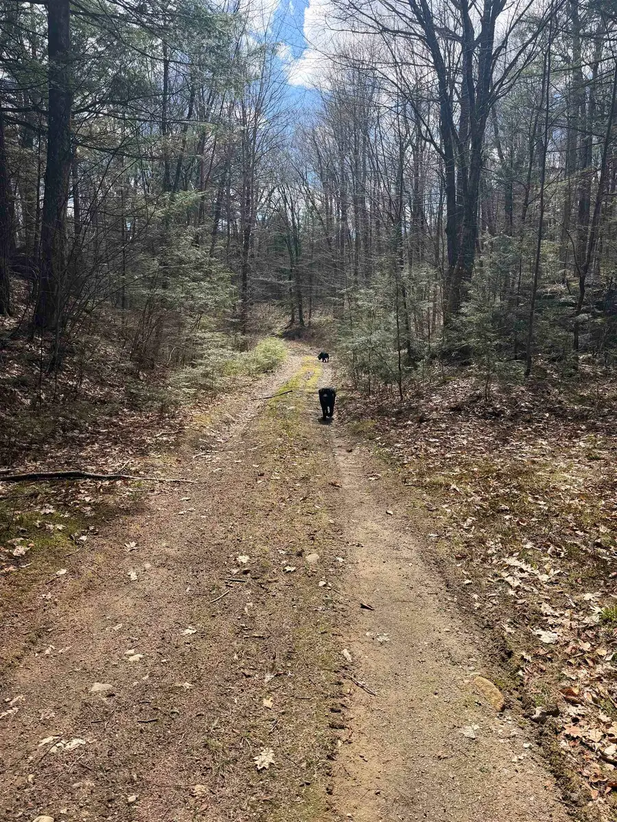R29L9 Roxbury #Lot 9, Meredith, NH 03253 - #2
