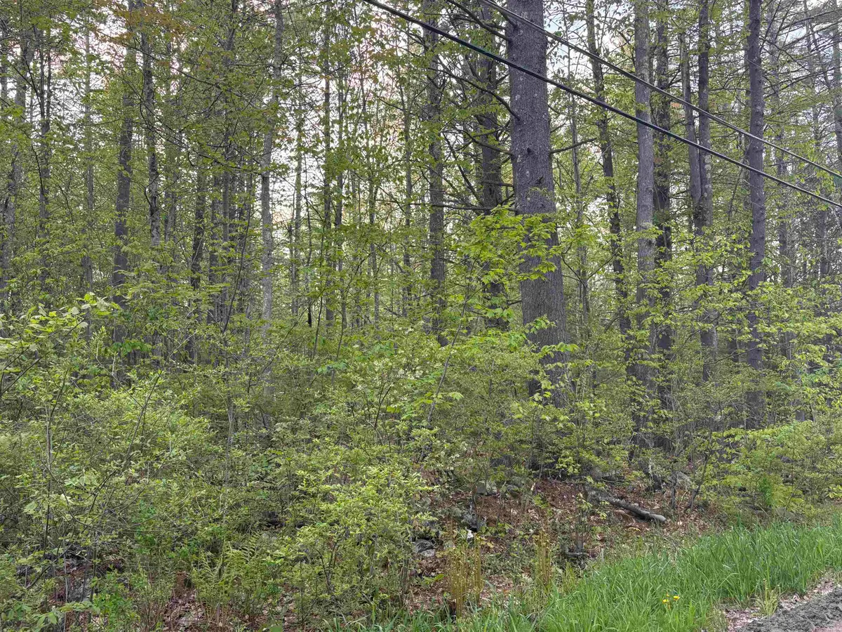 Lot 80 Currier Road, Candia, NH 03034 - #1