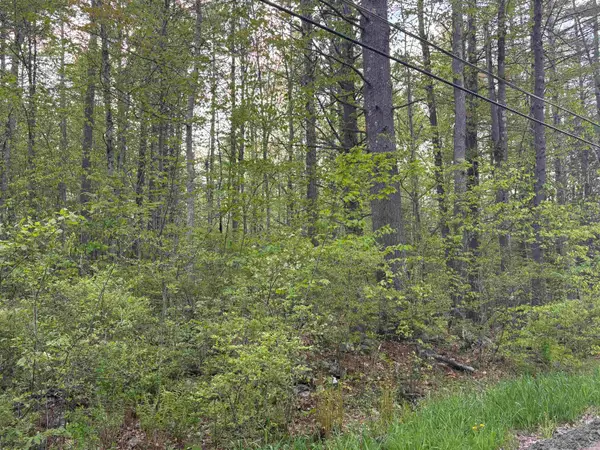 Lot 80 Currier Road, Candia, NH 03034
