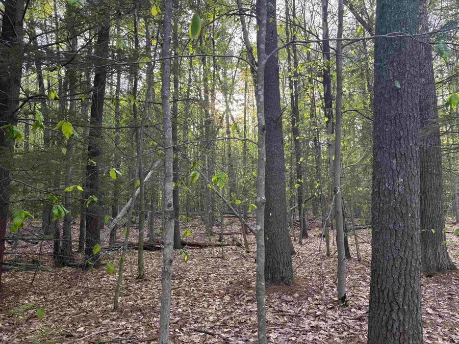 Lot 80 Currier Road, Candia, NH 03034 - #2