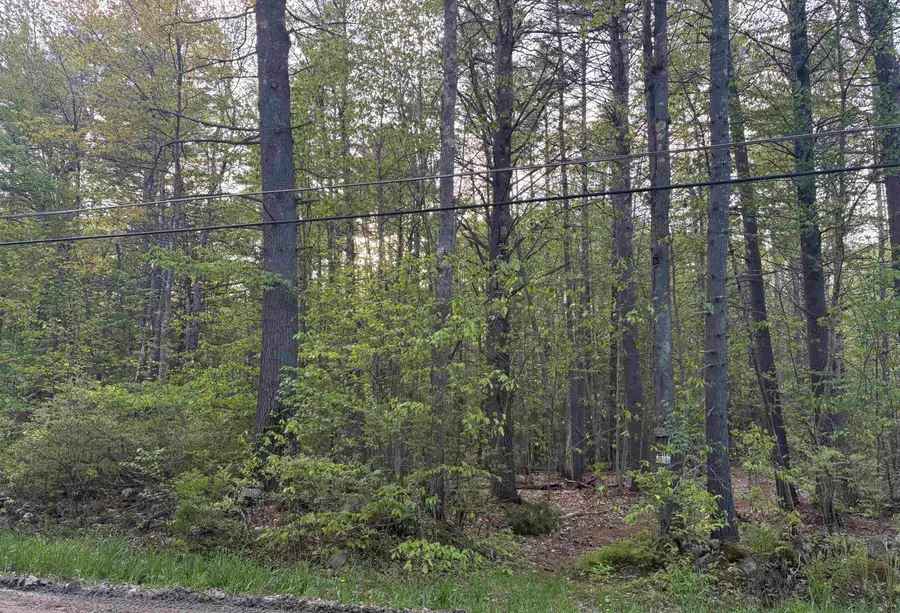 Lot 80 Currier Road, Candia, NH 03034 - #3