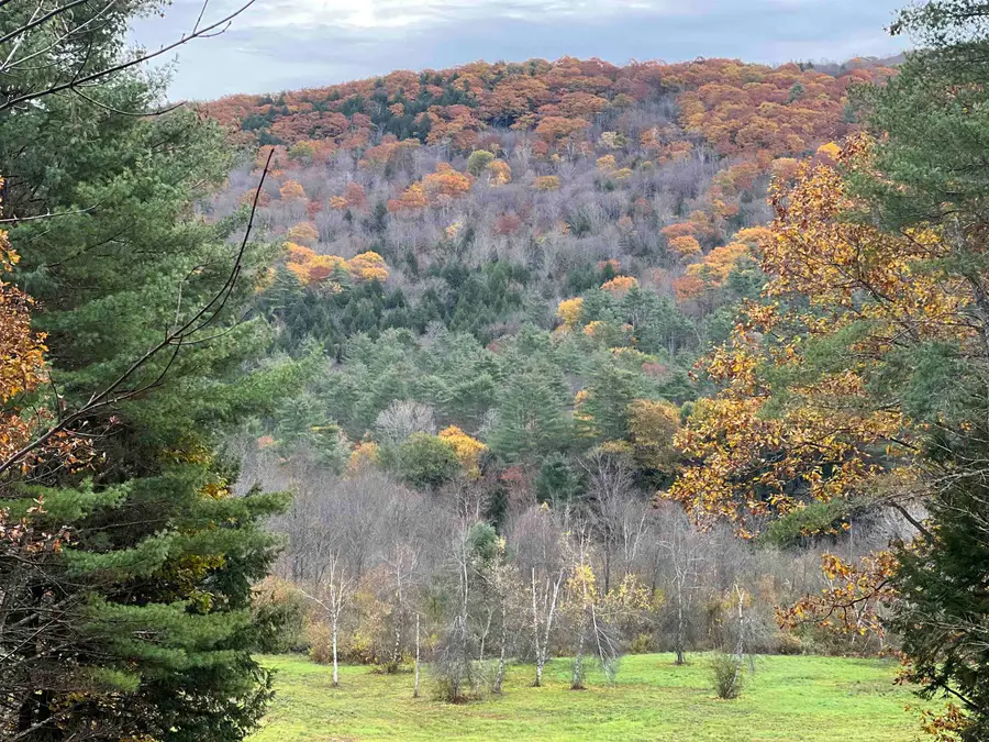 91 VT Route 35, Athens, VT 05143 - #3