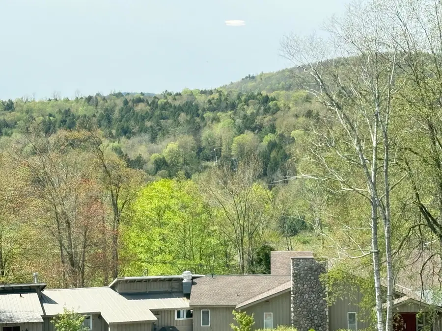 2366 mountain Road #unit 3, Stowe, VT 05672 - #3