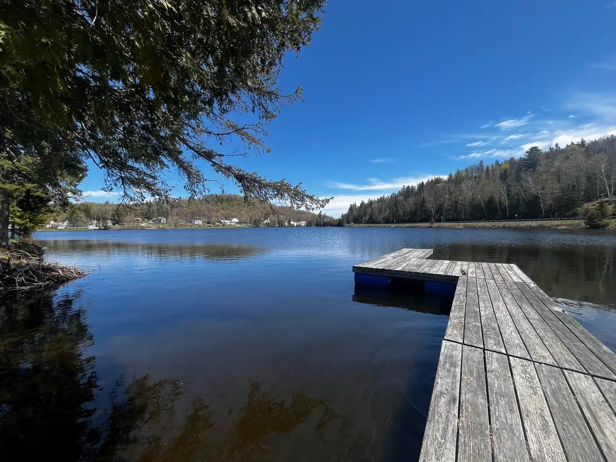 177 point comfort Road #9, West Danville, VT 05873 - #1