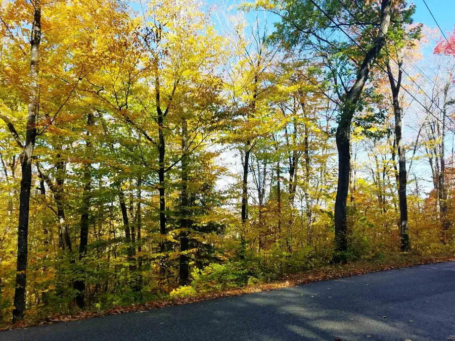 12-10 Boulder Drive, Campton, NH 03223 - #3