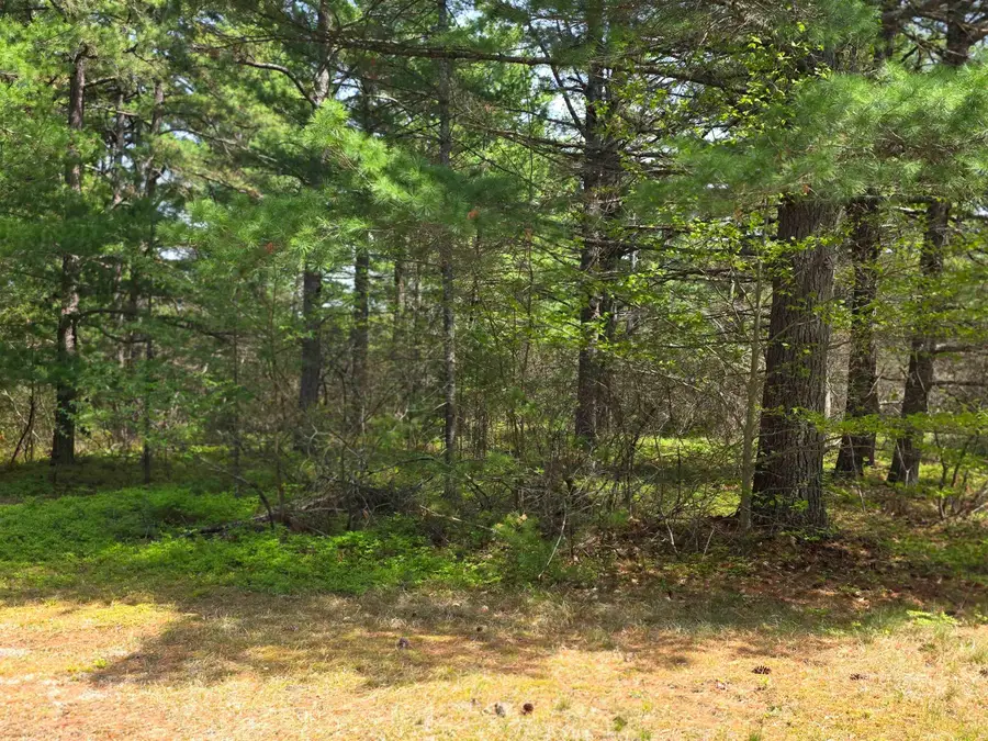 23 Logan Way, Ossipee, NH 03864 - #3