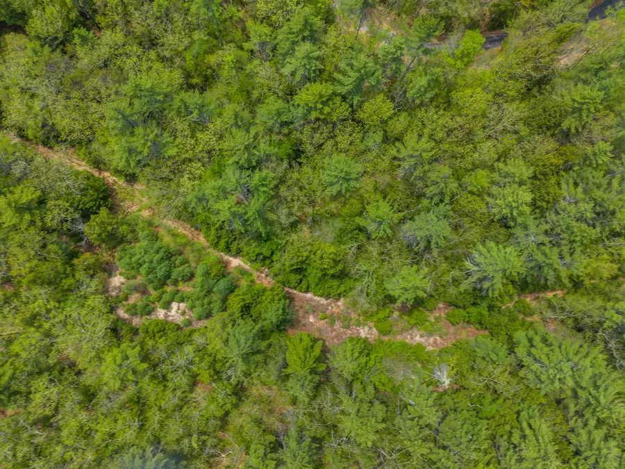 lot 15 Pine Point Road, New Durham, NH 03855 - #3