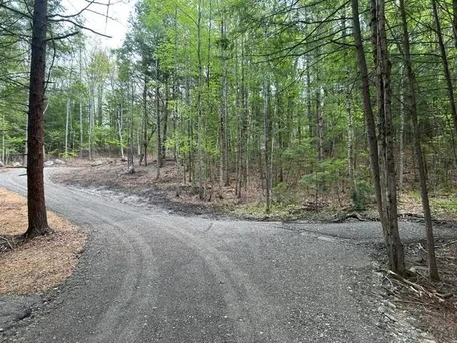 0 NH Route 114, Sutton, NH 03260 - #3