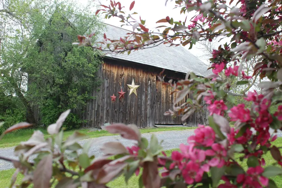 3588 Route 144, Benson, VT 05743 - #2