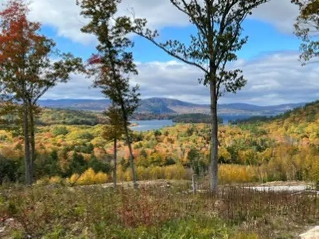 207 Overlook Drive #217-133-1, Bristol, NH 03222 - #2