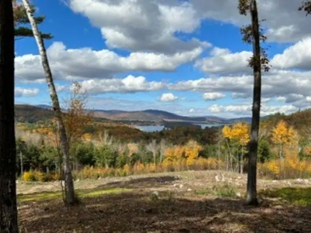 207 Overlook Drive #217-133-1, Bristol, NH 03222 - #3