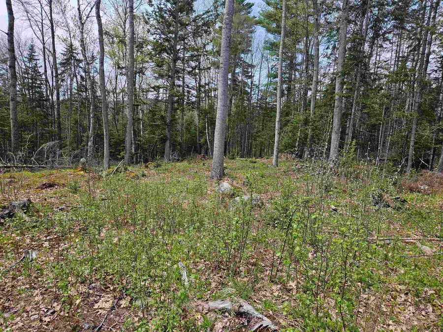 Lot 10.1 Wallace Hill Road, Franconia, NH 03580 - #3