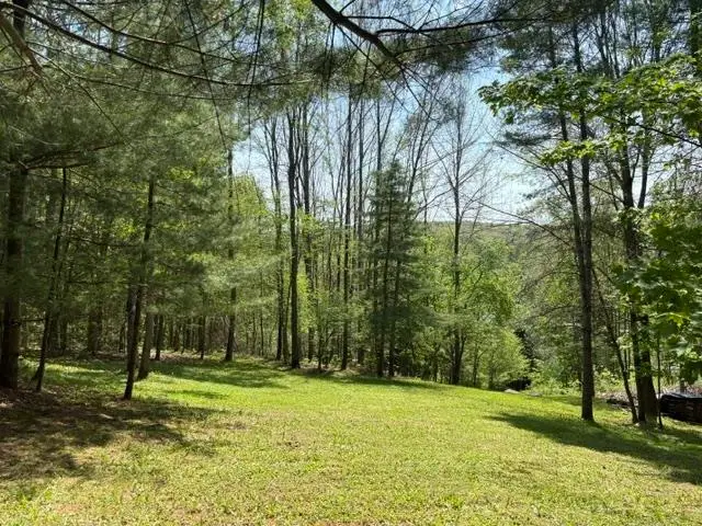 0 Gold Coast Road, Bridgewater, VT 05034 - #1