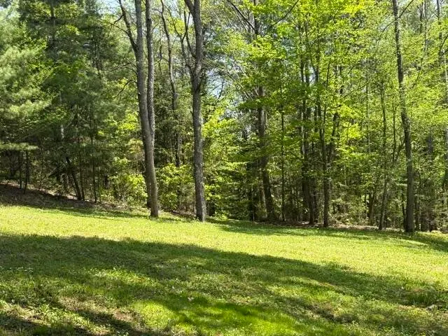 0 Gold Coast Road, Bridgewater, VT 05034 - #2