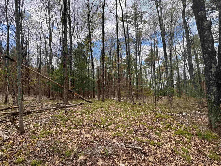 00 Esty Road, Westmoreland, NH 03467 - #2