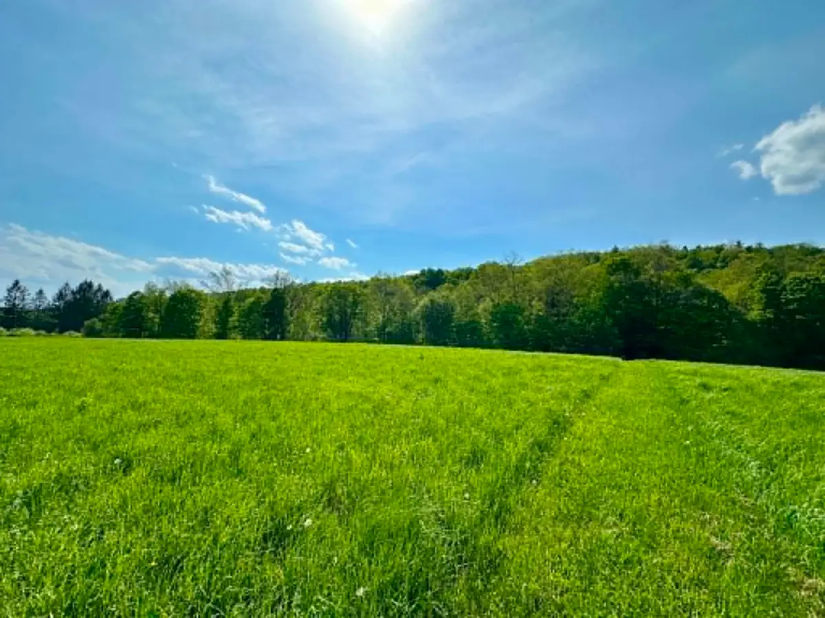 Lot A Sweet Pond Road #Lot 1, Guilford, VT 05301 - #1