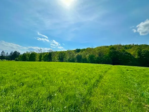 Lot A Sweet Pond Road #Lot 1, Guilford, VT 05301
