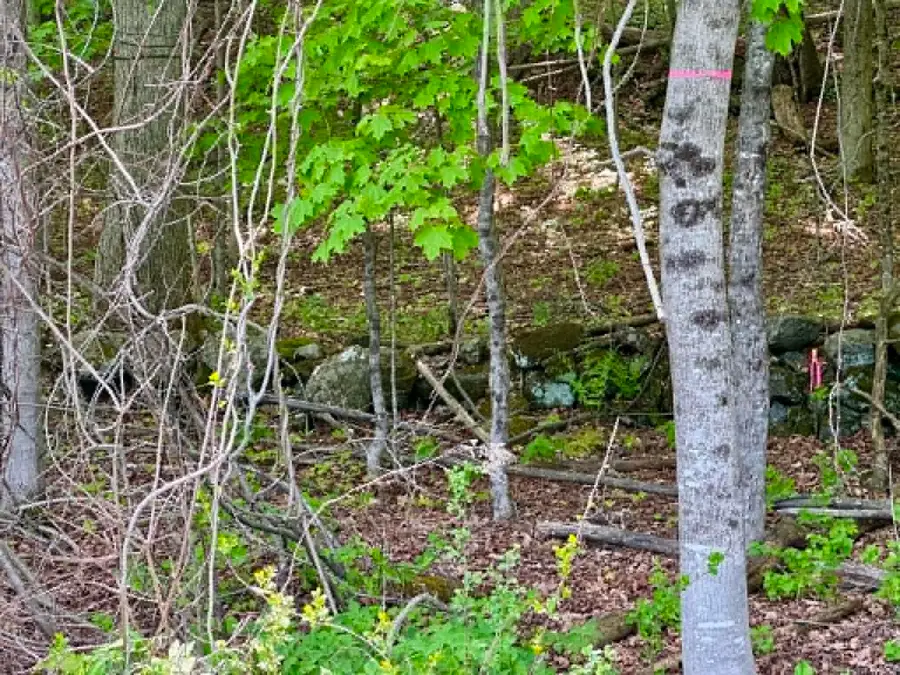 Lot A Sweet Pond Road #Lot 1, Guilford, VT 05301 - #2