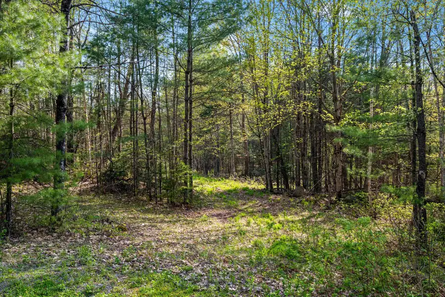 82 Bear Paw Trail, Littleton, NH 03561 - #3