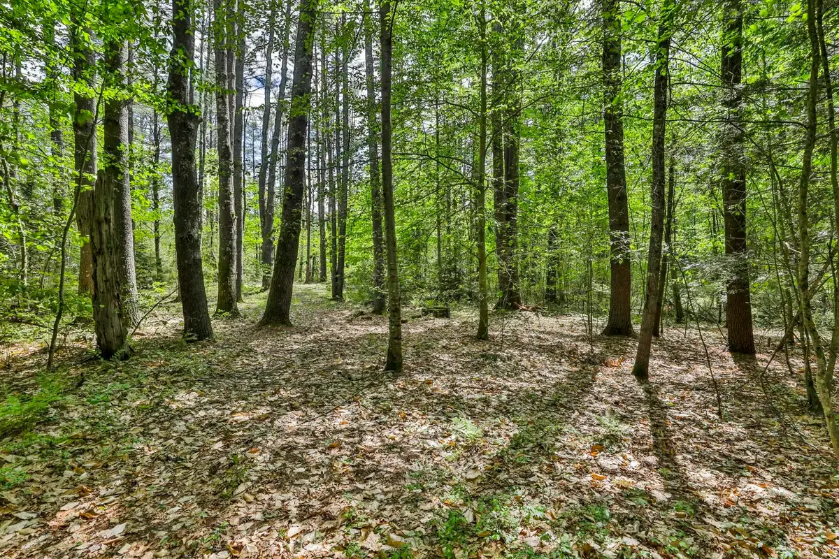2A & 2B Camp Road, Amherst, NH 03031 - #1