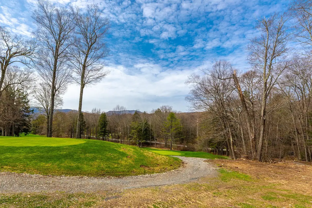 530 Finbars Forest Road, Manchester, VT 05255 - #1
