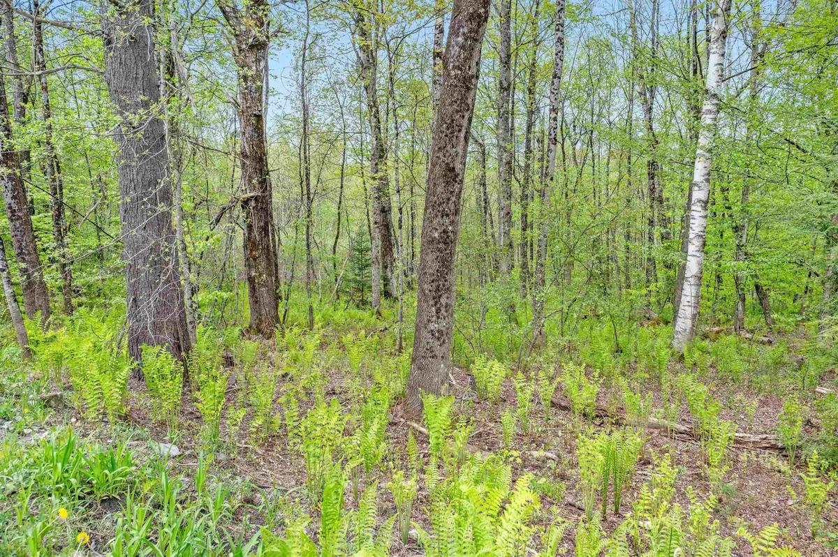 753 Scrabble Hill Road #2, Duxbury, VT 05676 - #1