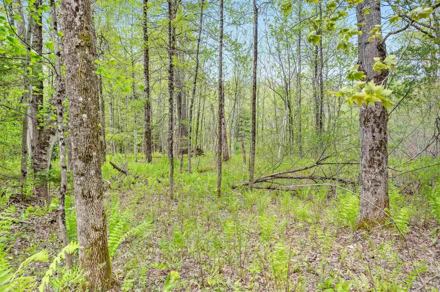 753 Scrabble Hill Road #2, Duxbury, VT 05676 - #3