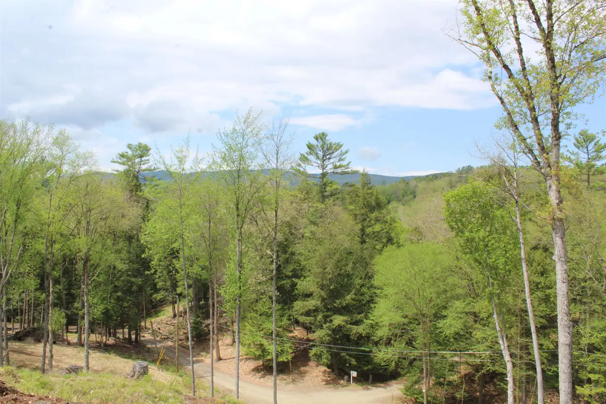 Lot 23/24 Wetherbee Road, Lyman, NH 03585 - #1