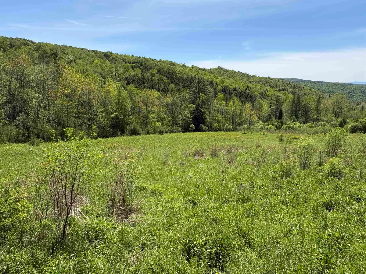 0000 Bear Hill Road, Brookfield, VT 05036 - #1