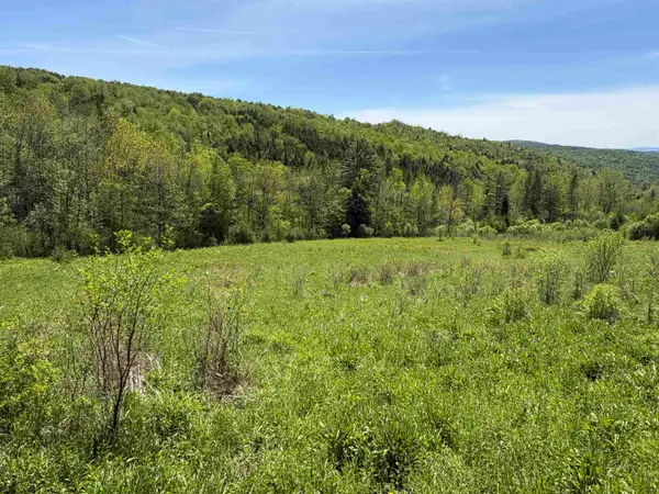 0000 Bear Hill Road, Brookfield, VT 05036