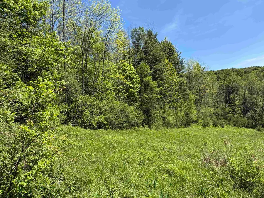0000 Bear Hill Road, Brookfield, VT 05036 - #2