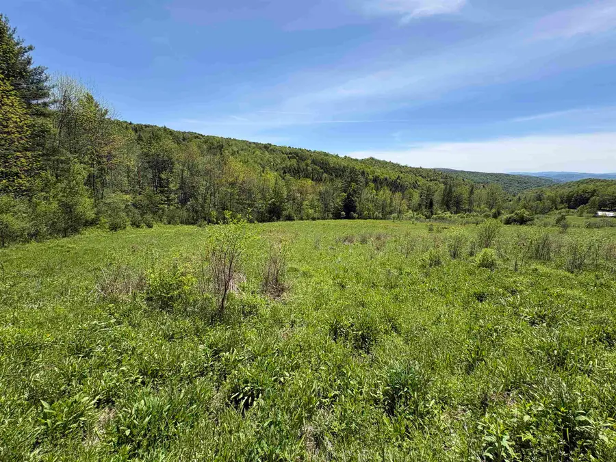 0000 Bear Hill Road, Brookfield, VT 05036 - #3