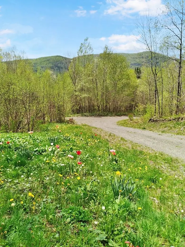11 Roy Boulevard, Pittsburg, NH 03592 - #2